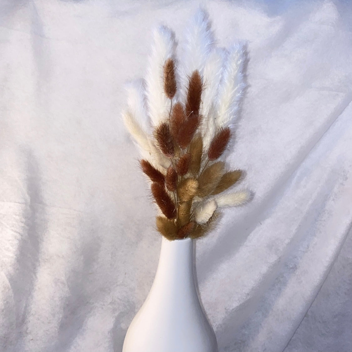 Fluffy ‘𝓦𝓸𝓸𝓭𝔂’ Mixed Pampas Bunny Tails
