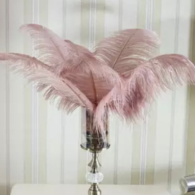 Fluffy ' 𝓑𝓵𝓾𝓼𝓱' Ostrich Feather Bouquet