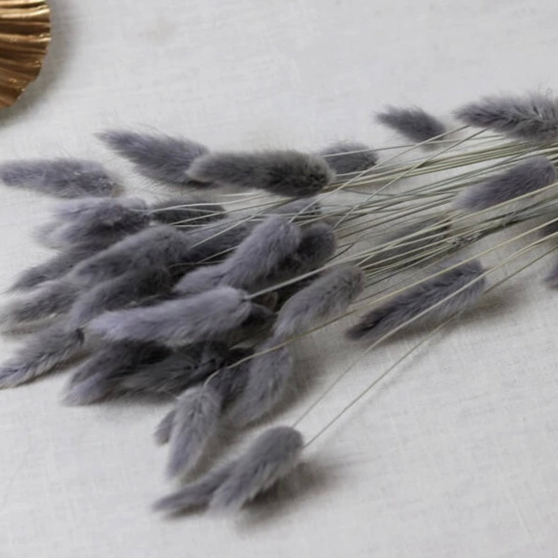 Extra Large Plumes '𝓟𝓸𝓵𝓵𝔂' Bouquet