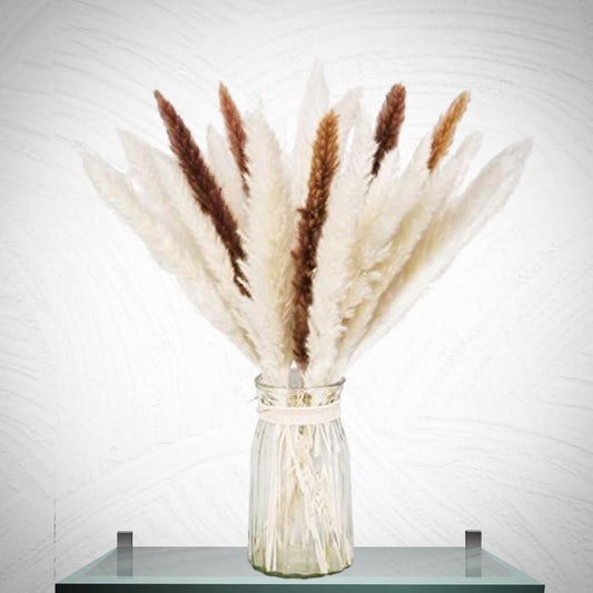 Natural Mixed Bunch White & Brown Grass Stems