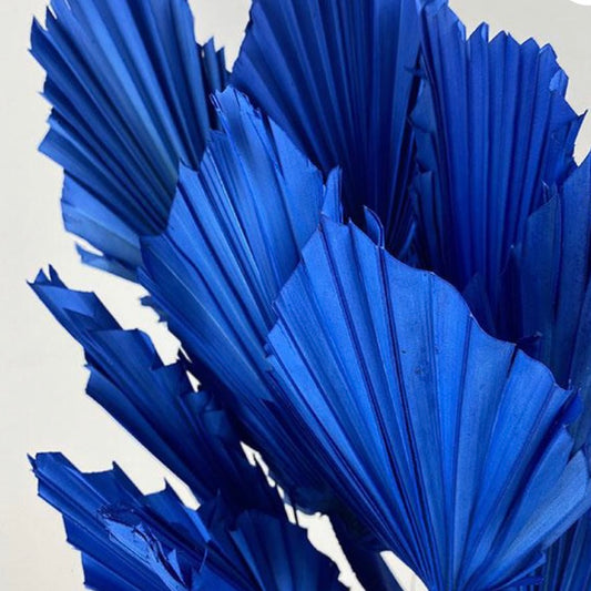 Statement Royal Blue Palm Spears