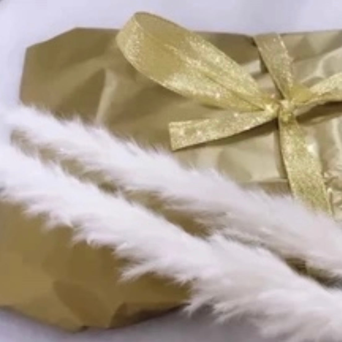 Fluffy ‘𝓦𝓸𝓸𝓭𝔂’ Mixed Pampas Bunny Tails