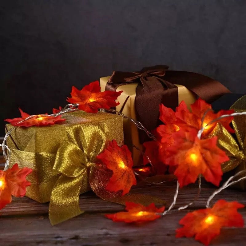 Autumn Maple Leaf Luxury MIA Lights