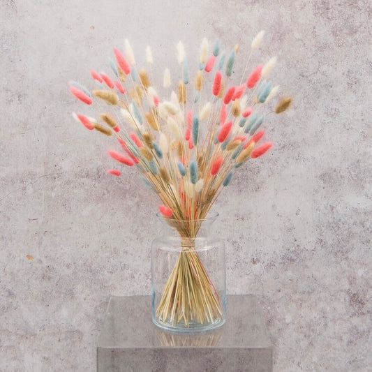 Fluffy ‘𝓡𝓪𝓲𝓷𝓫𝓸𝔀’ Mixed Pampas Bunny Tails