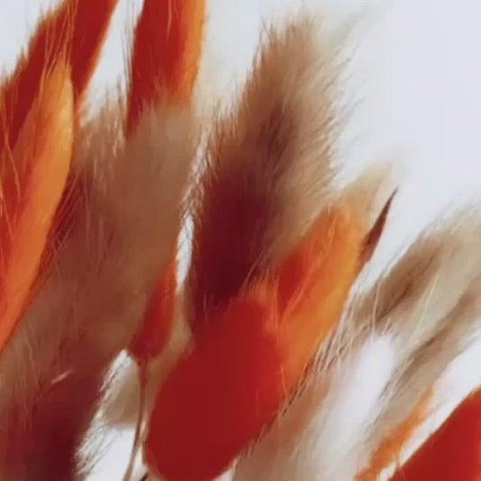 Fluffy AUTUMN Mixed Pampas Bunny Tails