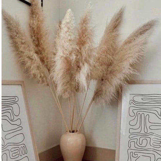 Large Fluffy ‘𝓐𝓿𝓪' Natural Pampas Plumes