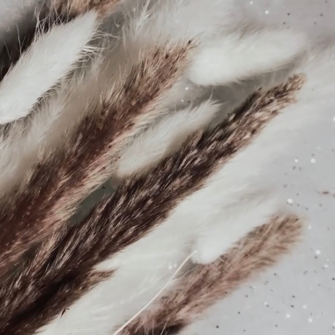 Mixed Pampas Stem & Bunny Tails  ‘𝓢𝓪𝓼𝓴𝓲𝓪’ Bouquet