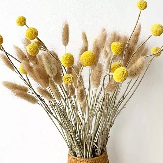 Cute ‘𝓑𝓲𝓵𝓵𝔂’ Buttons & Fluffy Pampas Bunny Tails