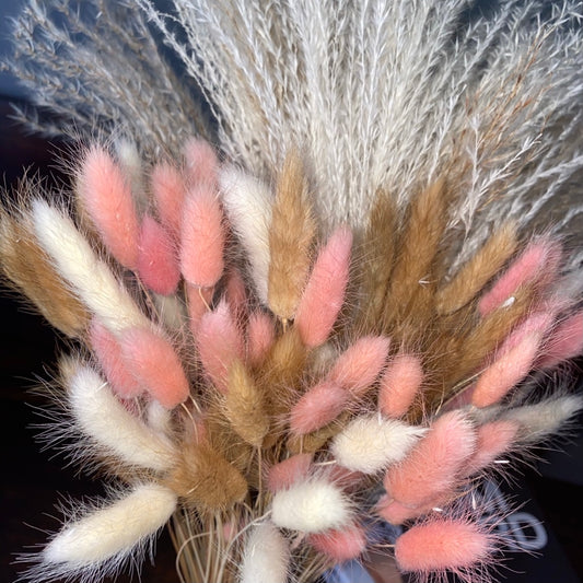 Cute ‘ 𝓒𝓪𝓷𝓭𝓲’ Mixed Pampas Bunny Tails