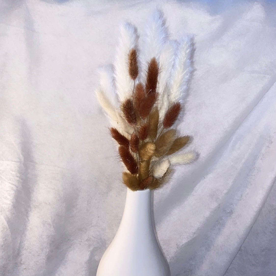 Fluffy ‘𝓦𝓸𝓸𝓭𝔂’ Mixed Pampas Bunny Tails