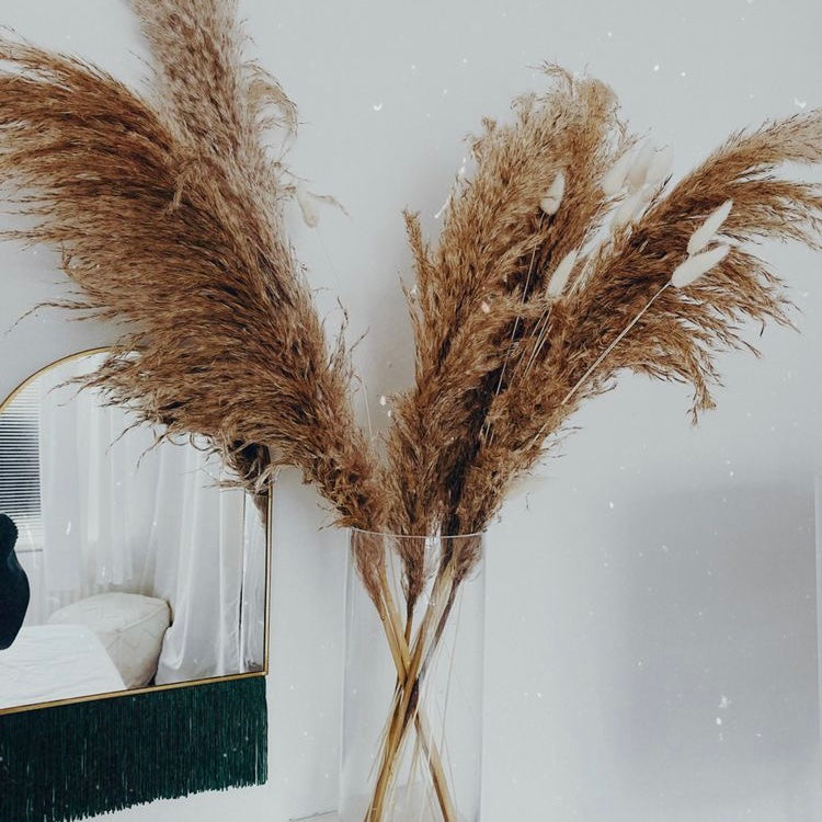 Natural Pampas ‘𝓡𝓾𝓲’ Raw Fluffy Stems
