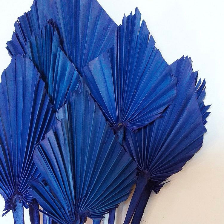 Statement Royal Blue Palm Spears