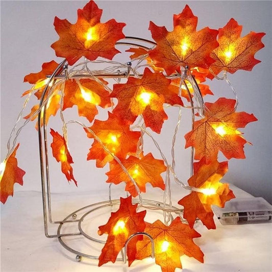 Autumn Maple Leaf Luxury MIA Lights