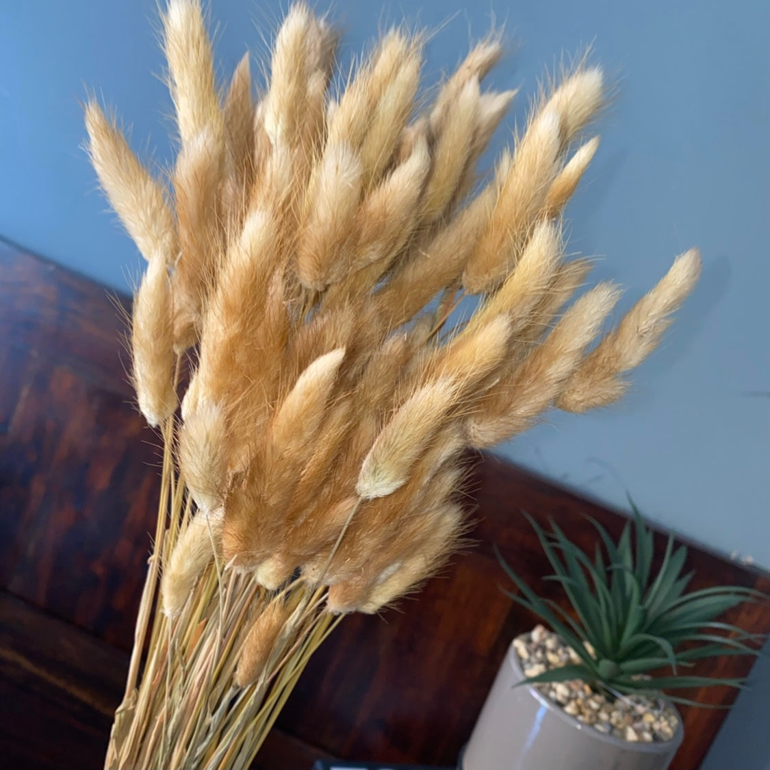 ‘ NATURAL TAN ’ Fluffy Pampas Bunny Tails