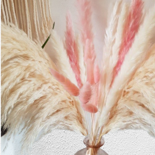 Natural Pampas White & Pink Mix Grass Stems