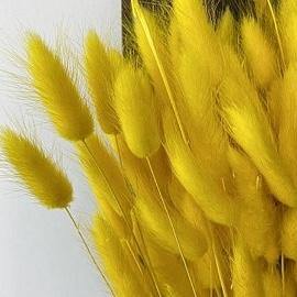 Fluffy ‘ 𝓔𝓪𝓼𝓽𝓮𝓻 𝓑𝓾𝓷𝓷𝔂’ Pampas Bunny Tails - Pretty Little Presents