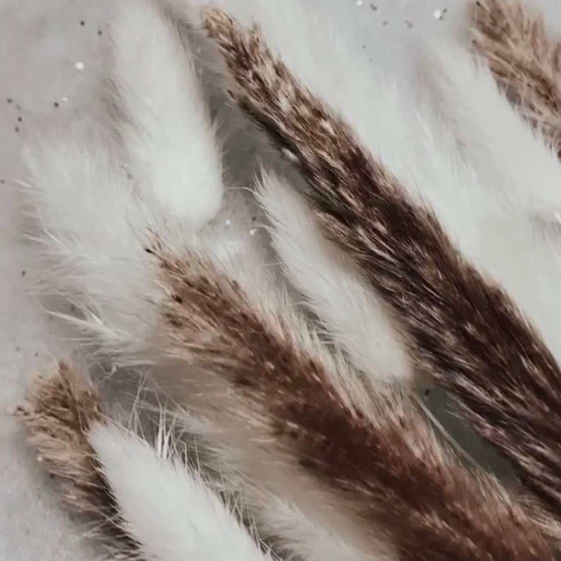 Mixed Pampas Stem & Bunny Tails  ‘𝓢𝓪𝓼𝓴𝓲𝓪’ Bouquet
